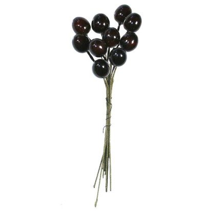 10 Glossy Dark Brown Olives ~ 1/2" ~ Czech Republic